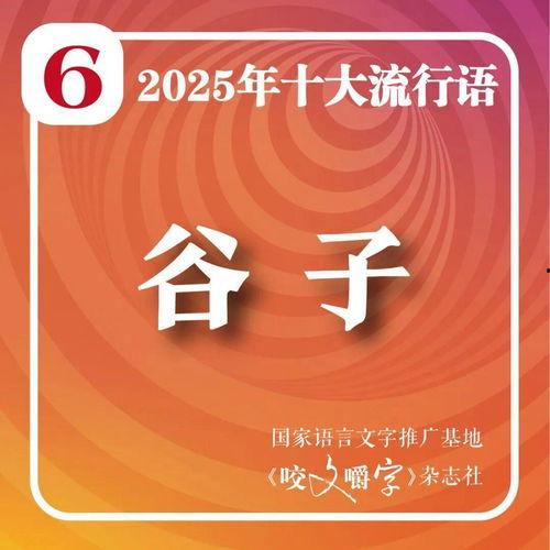 2025十大热点社会现象,十大热点现象深度解析